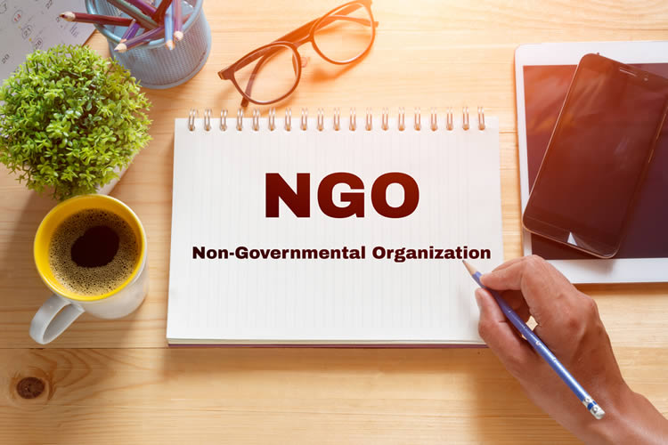 Why Every NGO Needs a Professional Website